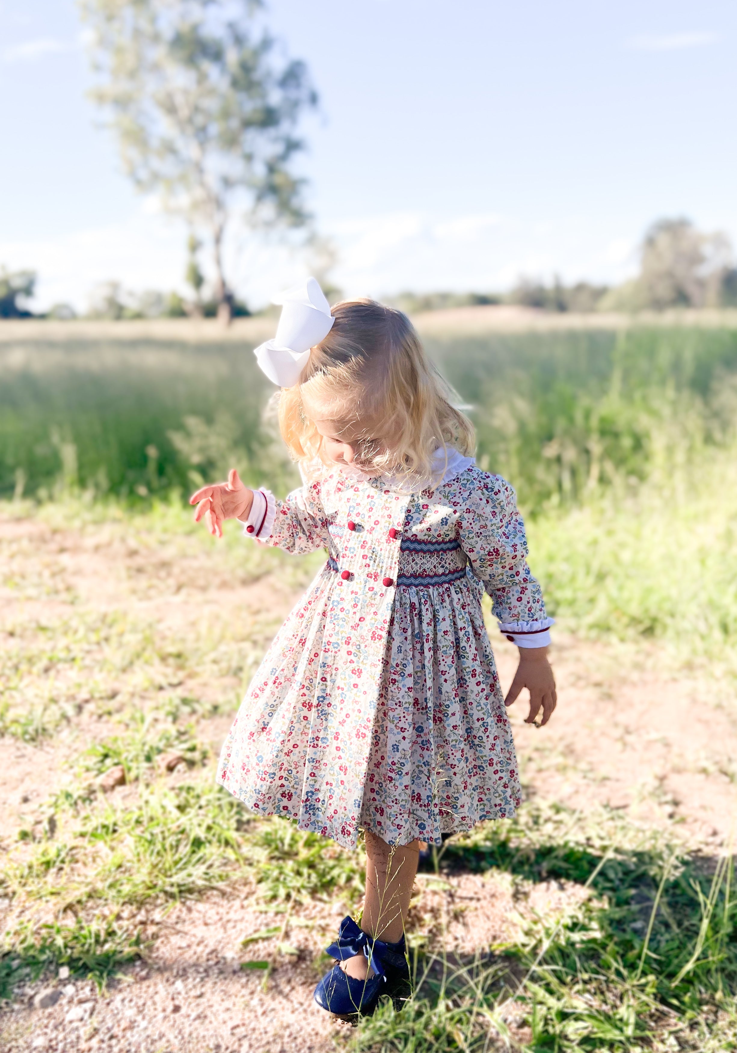 The Smocked Dress - Colourful Carnations