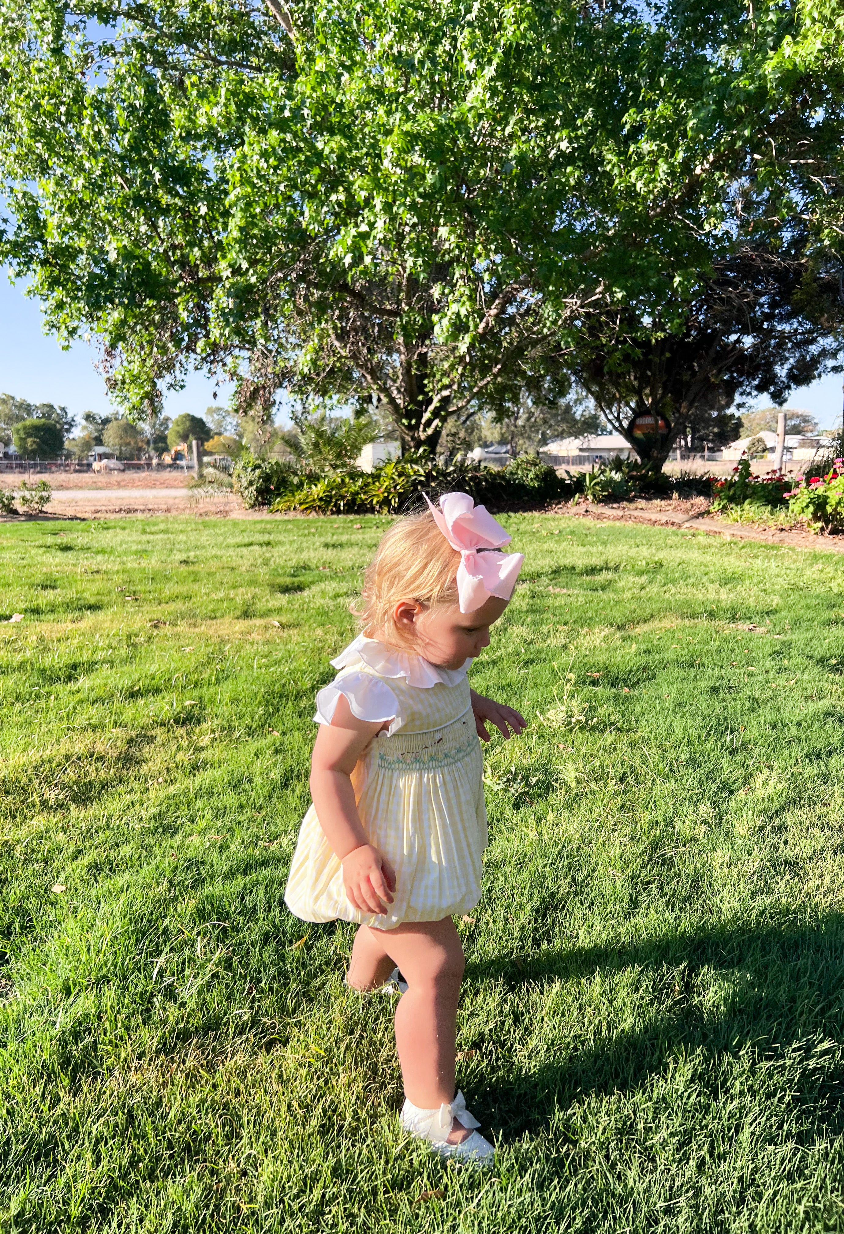 The Smocked Romper - Honey Bees