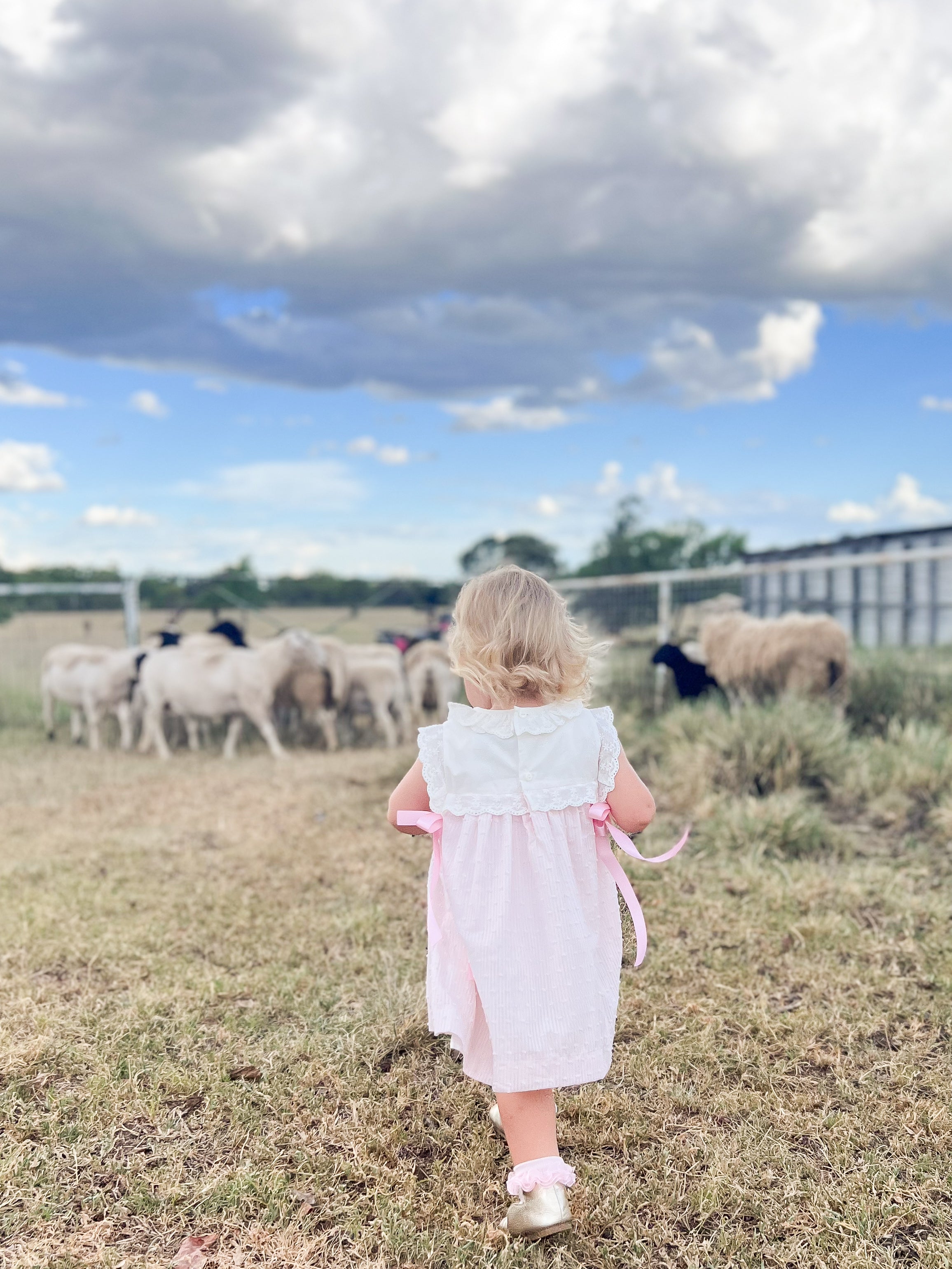 The French Knot Sheep Dress