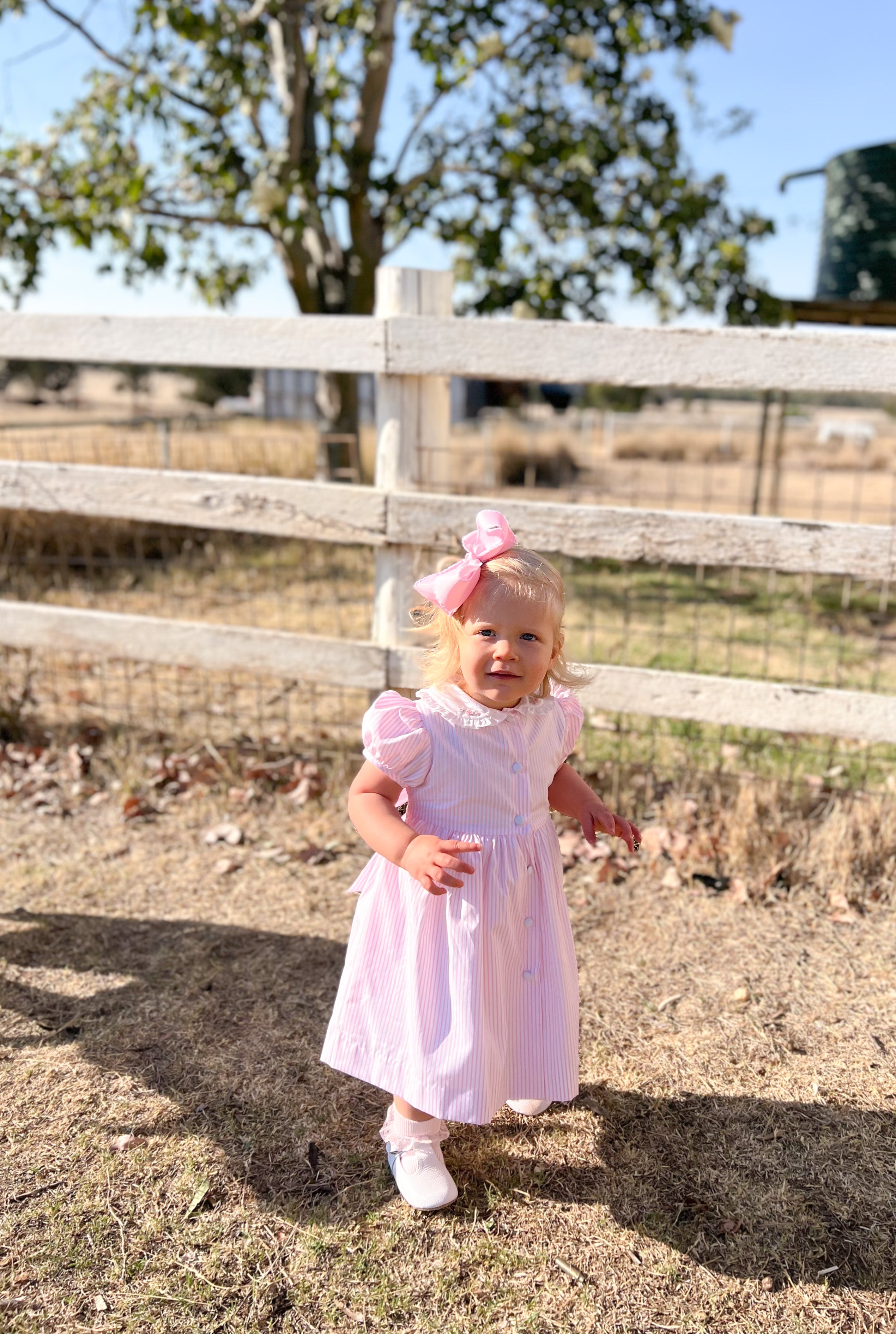 Pastel Pink Striped Embroidered Dress