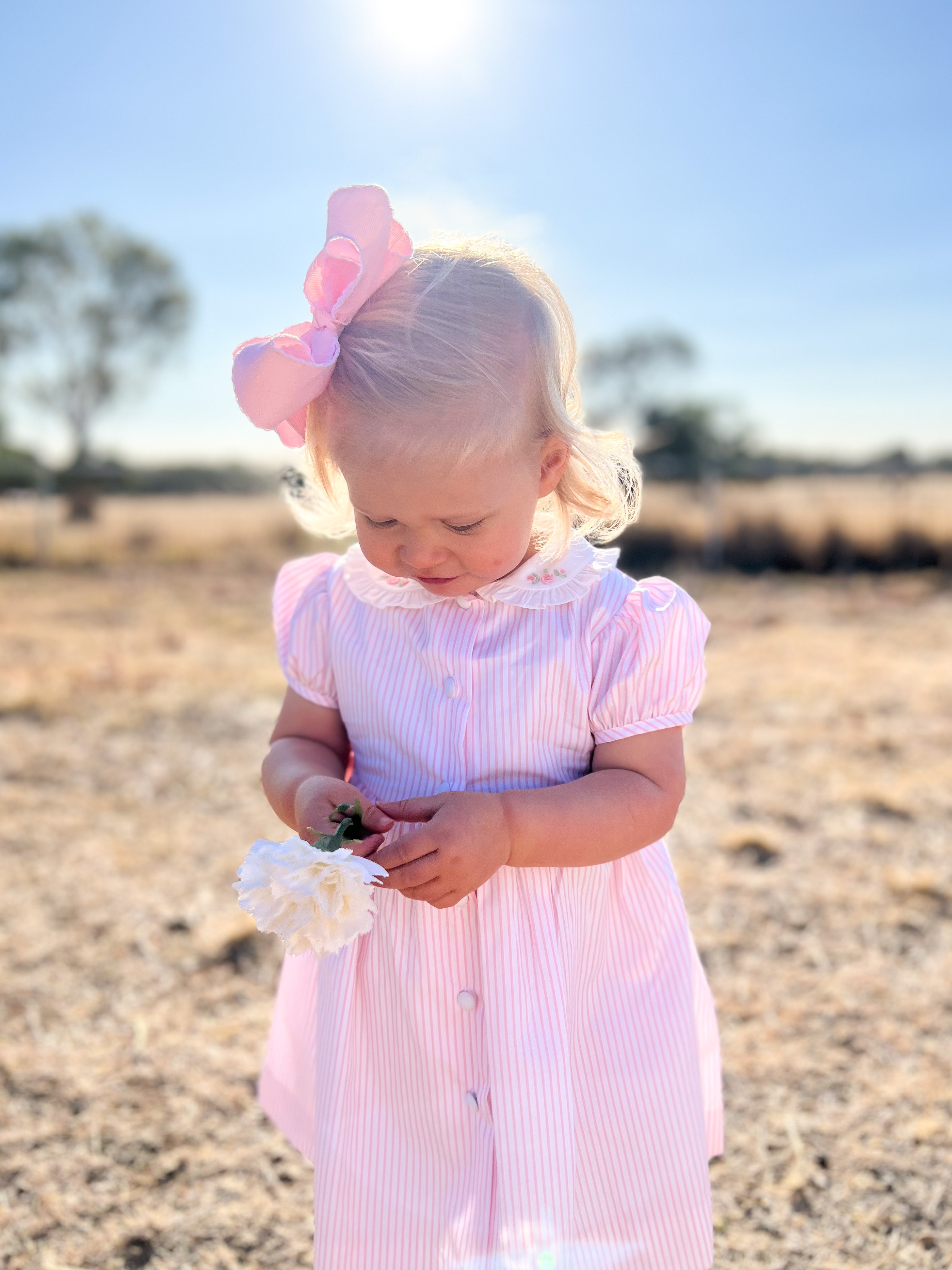 Pastel Pink Striped Embroidered Dress