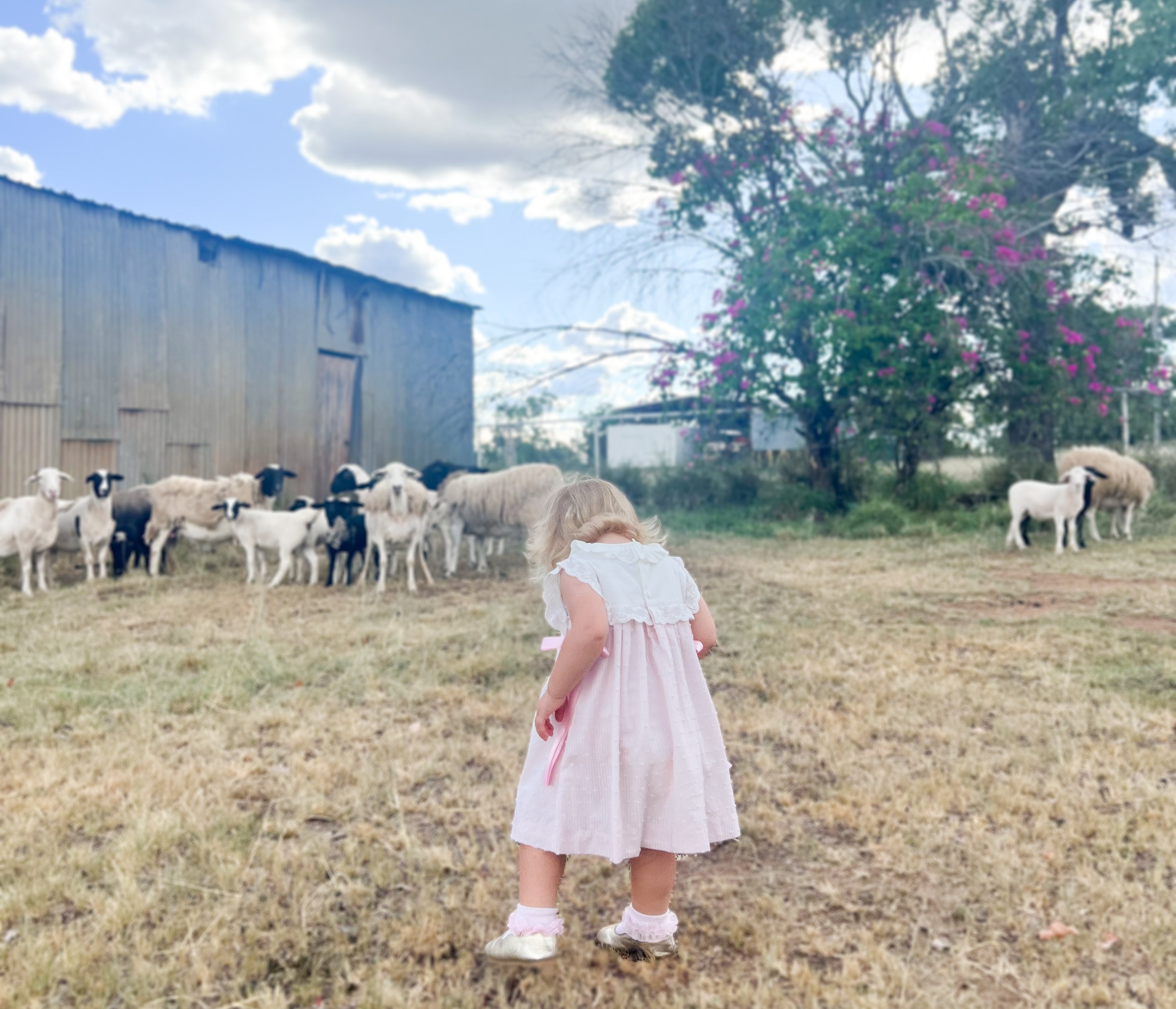 The French Knot Sheep Dress
