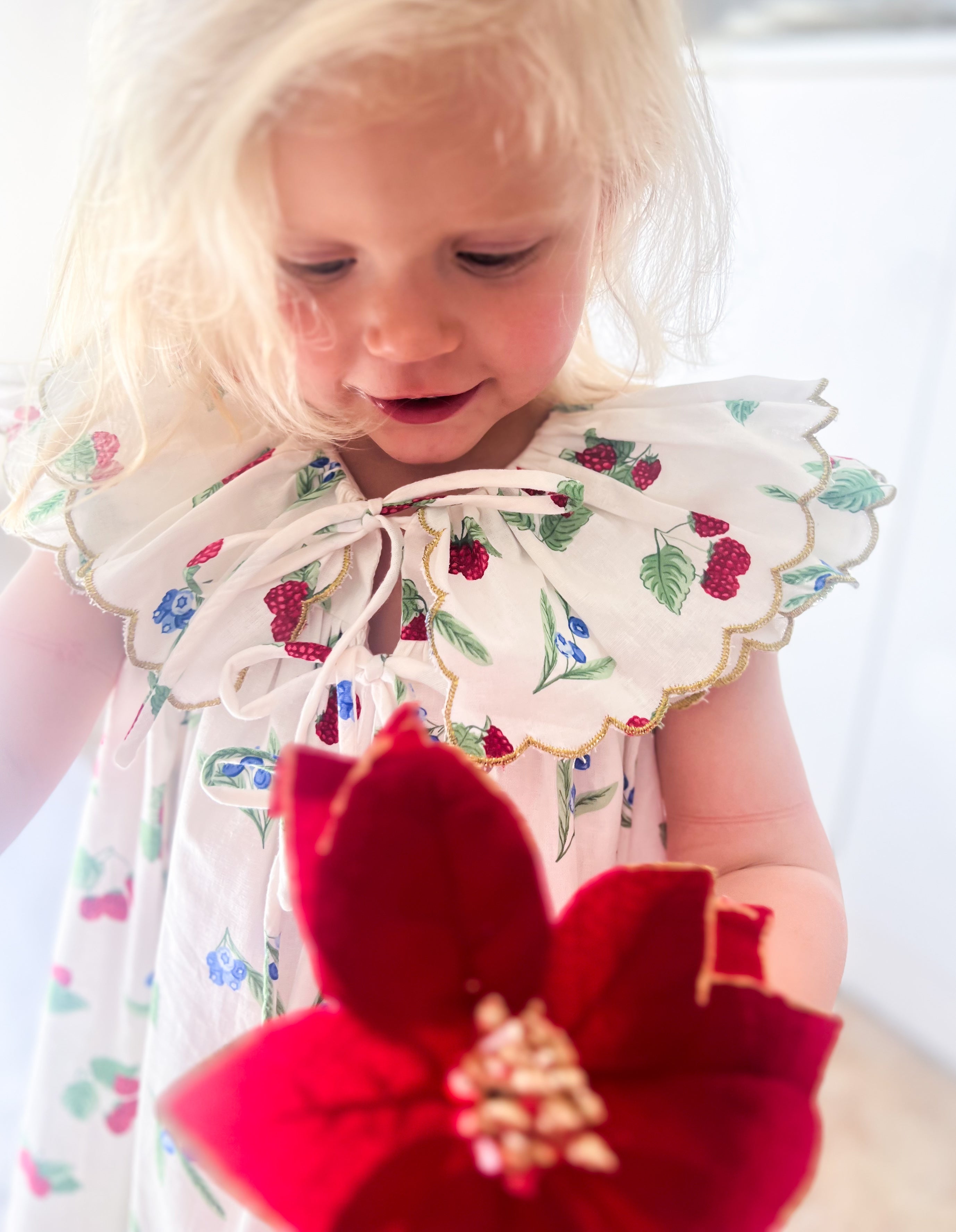 {Sutherby Girls} Signature ‘Mabel' Capelet Daydress ~ Christmas Berries