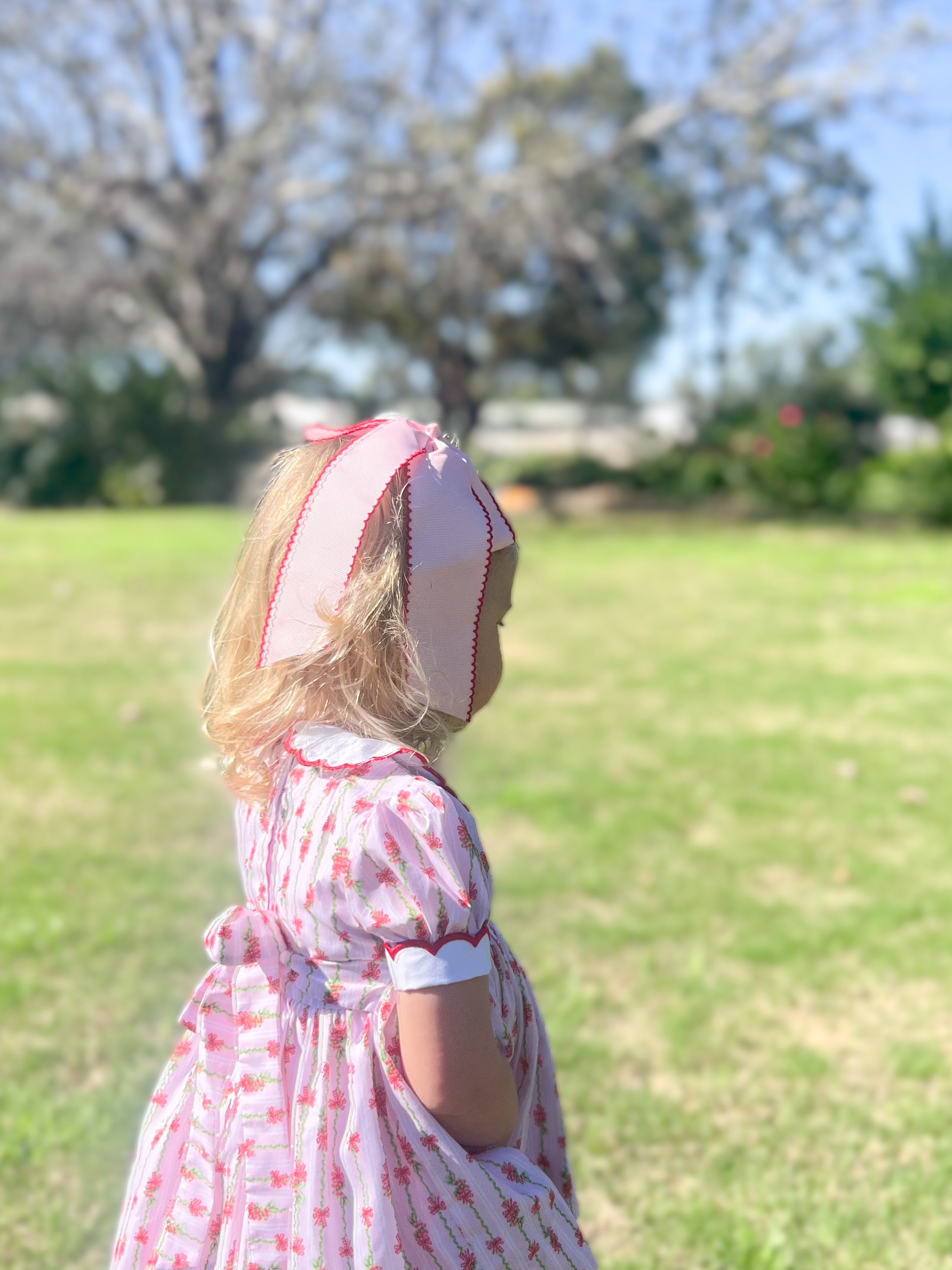 {Sutherby Girls} Signature Smocked Dress - Festive Whimsical Wallpaper